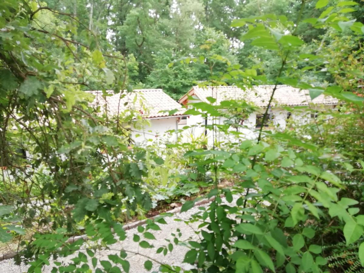 Pause Nature. Maison Ananda A 14 Kms De Toulouse Avec Parking Privatif Lapeyrouse-Fossat Luaran gambar